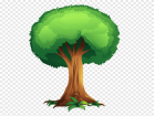Open Tree Free content, camp campbell tree tops, leaf, grass png | PNGEgg